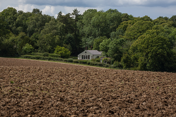 London LOOP - Tudor Prisăcariu