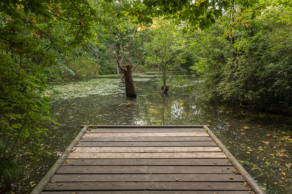 London LOOP - Tudor Prisăcariu