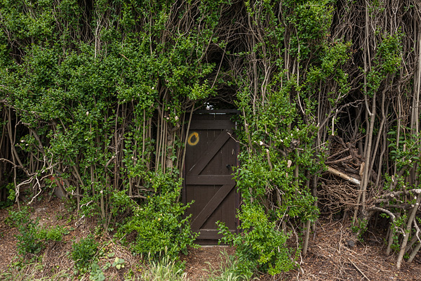 London LOOP - Tudor Prisăcariu