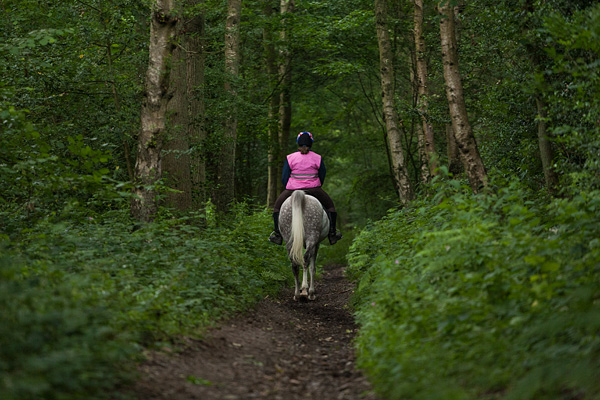 London LOOP - Tudor Prisăcariu